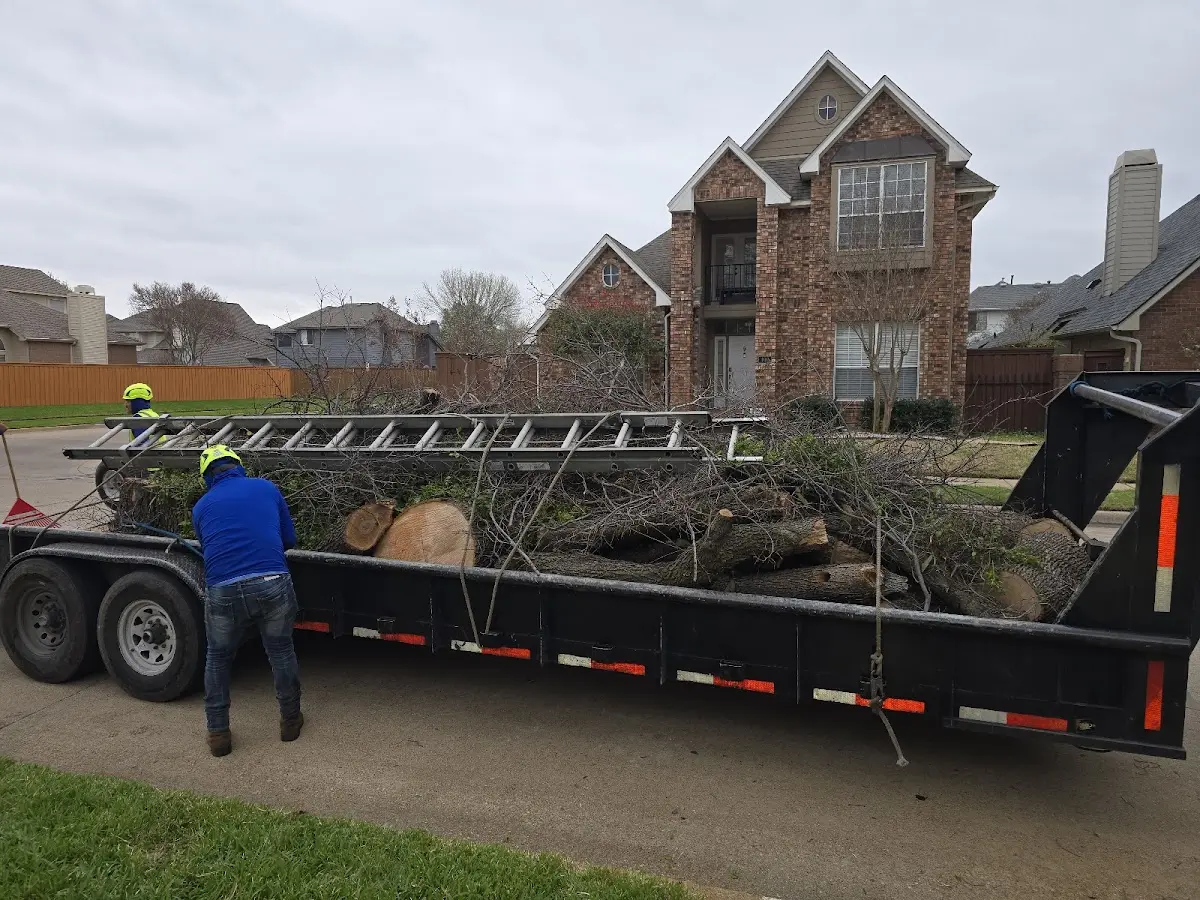 Expert Lot Clearing with proper safety equipment in Gilcrest
